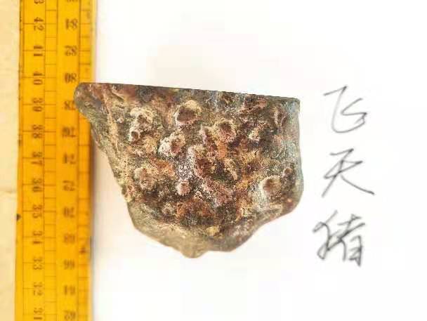 微信图片_20210112172436.jpg
