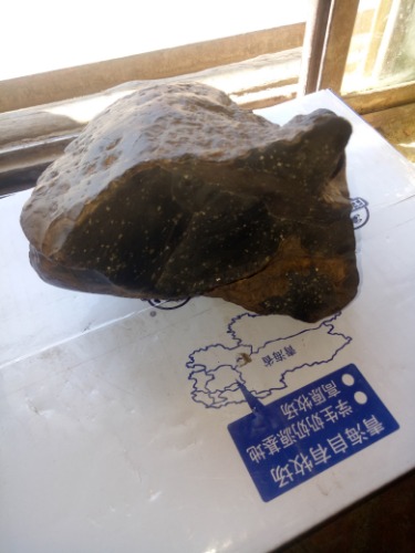 IMG20210309125108.jpg