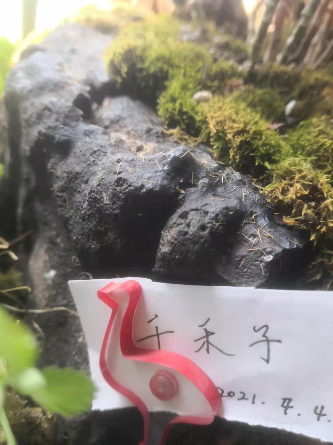 微信图片_20210404112725.jpg