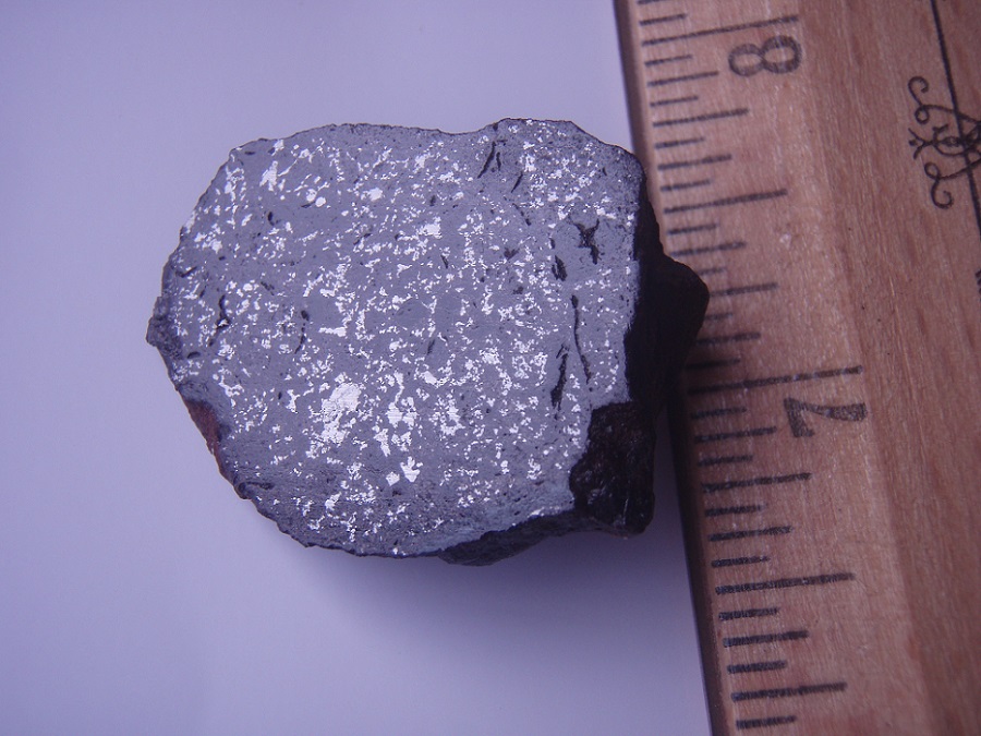 Vaca_muerta_mesosiderite.jpg