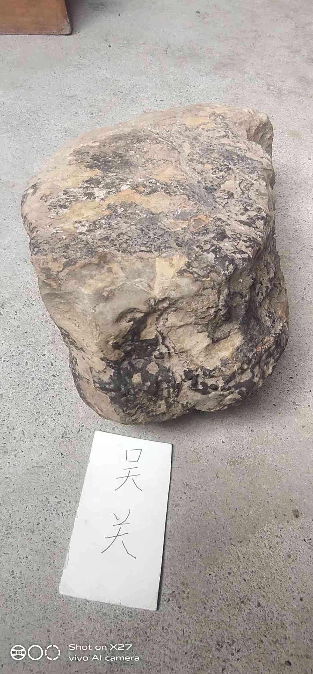 1618725871253.jpeg