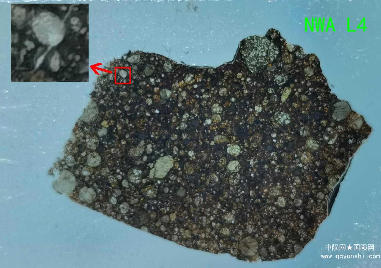 B-薄片全局照.jpg