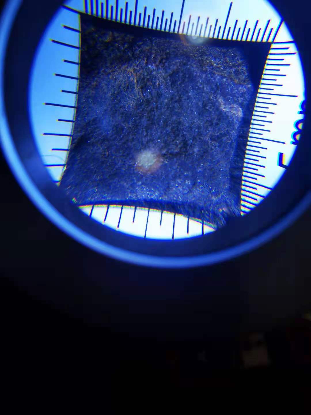 微信图片_20210728111043.jpg