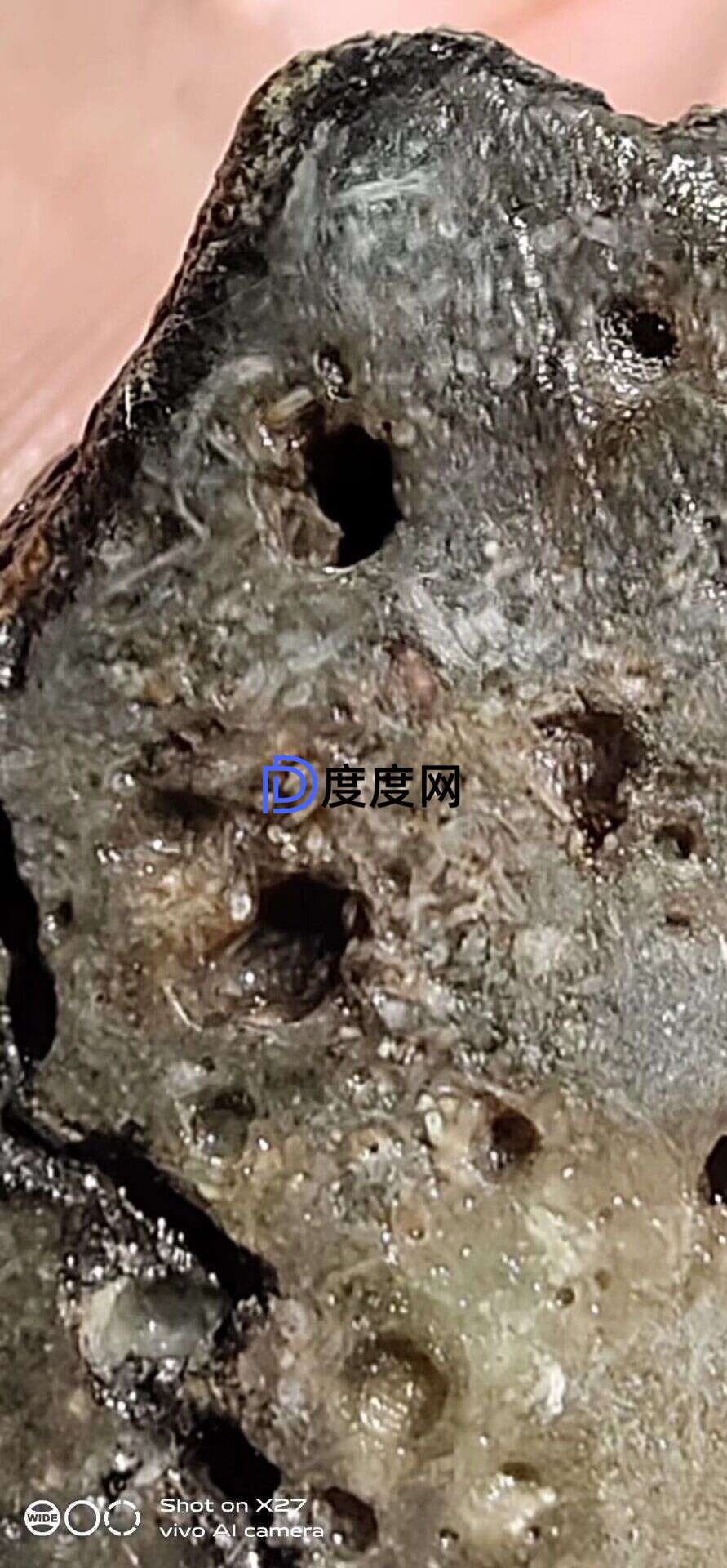 16519e50e4911aa8a3a1fc9c2d715e79197d6d9ce96db5982e3e3f44f6fe3868.0.JPG