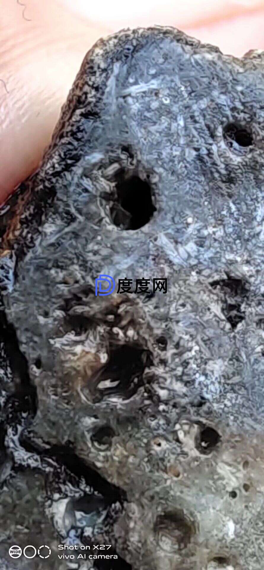 373e6a9dc37ccaf99b8b14a4e007df1434074dc5be76262648172a76a0106a31.0.JPG