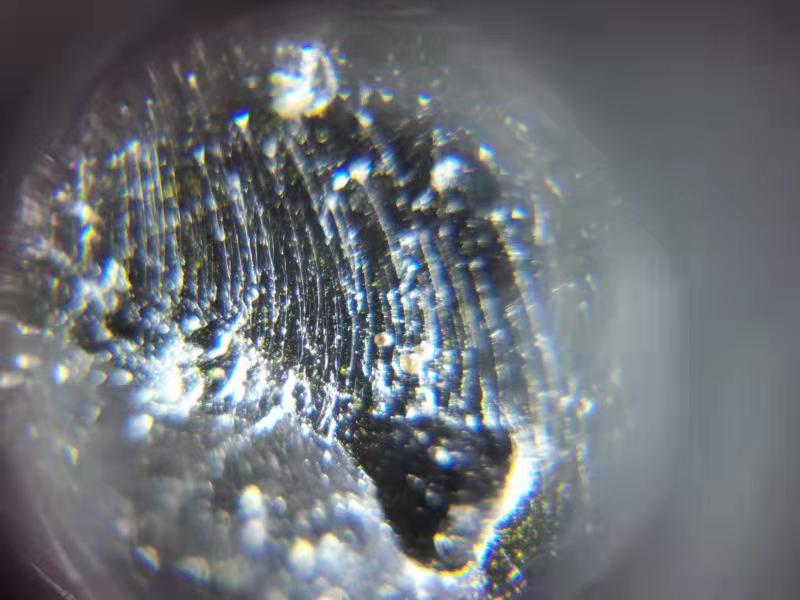 100倍镜下发丝状