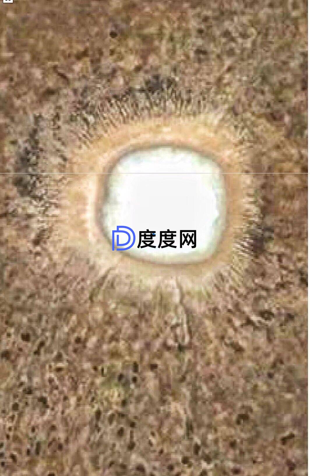 1c71c8579c961a5446823beccf7276c49040e96dd4500095404fec0ba5b671cd.0.JPG