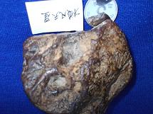 照片 1102.jpg