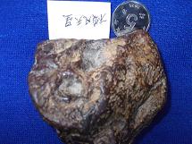 照片 1101.jpg