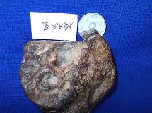 照片 1100.jpg