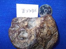 照片 1099.jpg