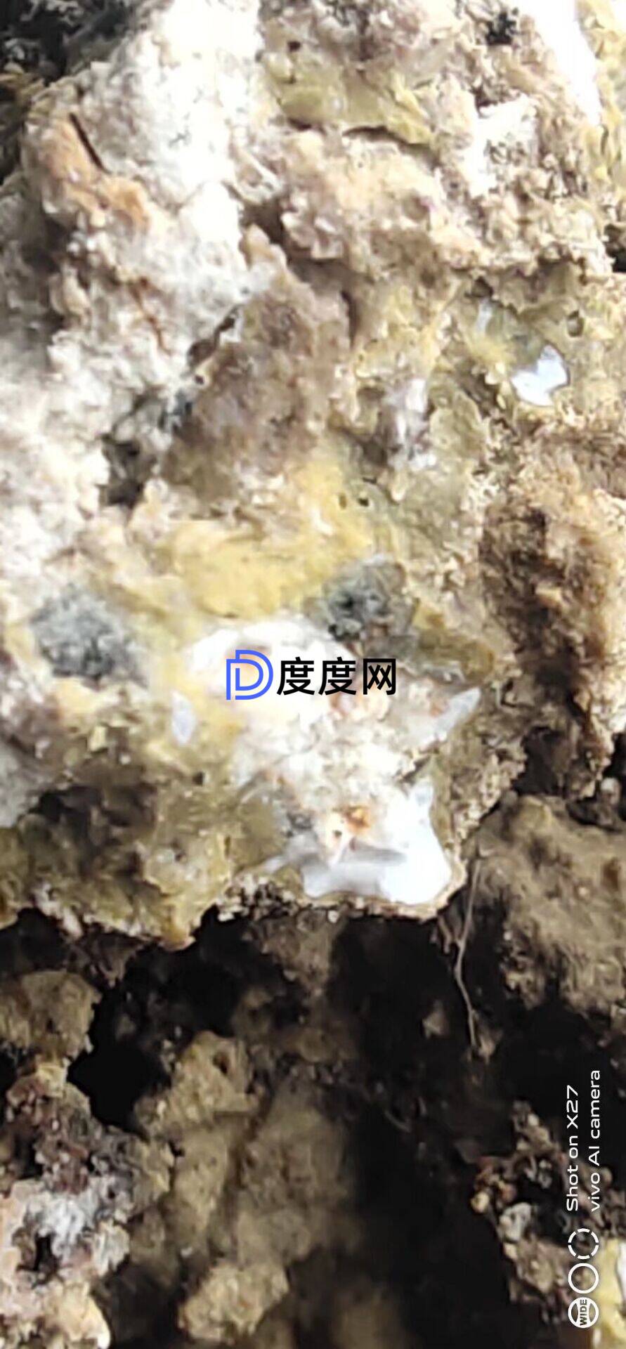 29113ebc6c8640646e6c93de0e3262c76ce215bec892e0f920eff816d076e94e.0.JPG