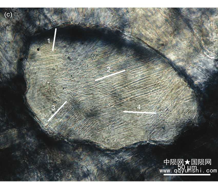 Xiuyan-crater-China.jpg