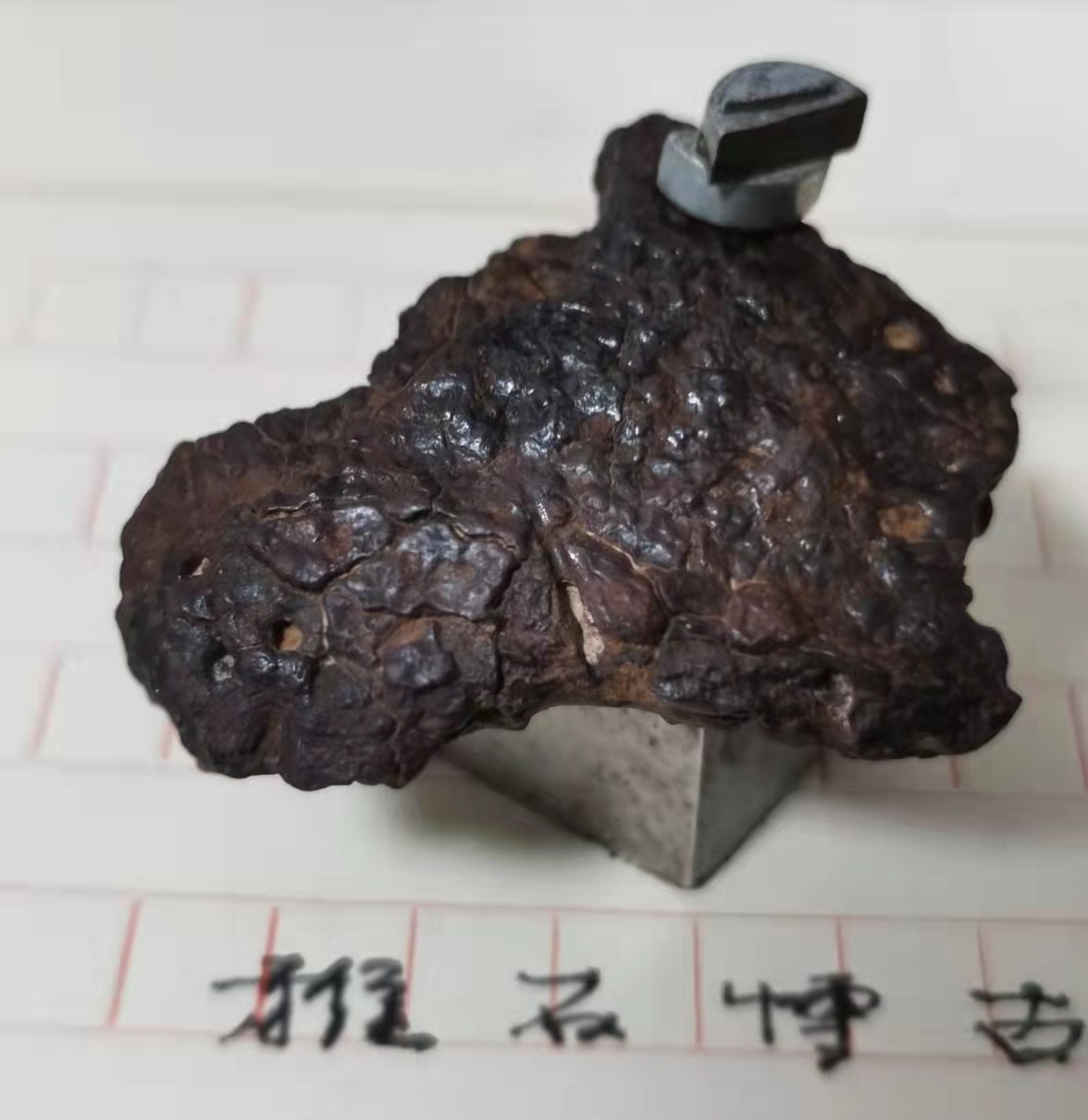 微信图片_2021122508214111.jpg