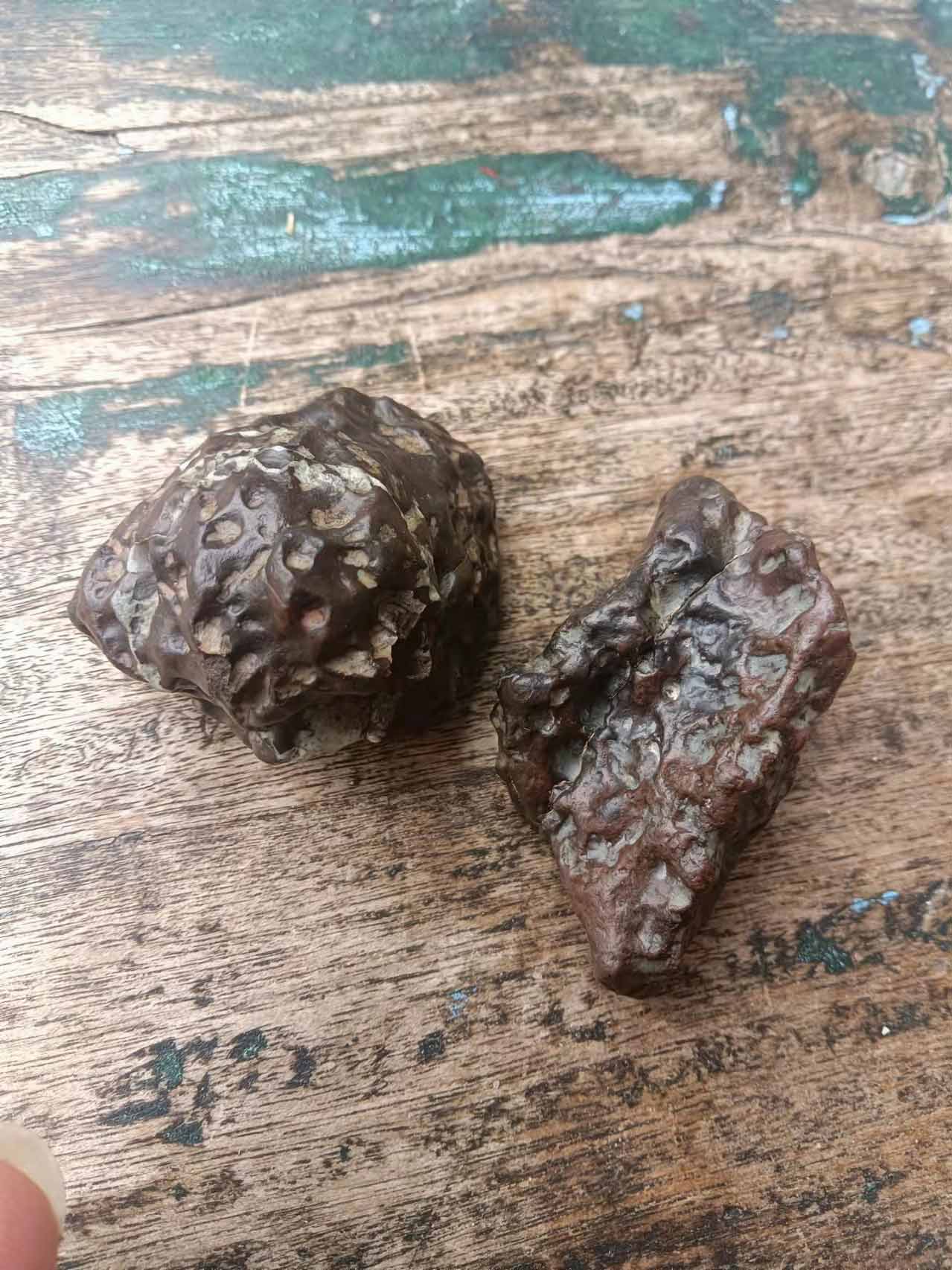 微信图片_20211226120108-4.jpg