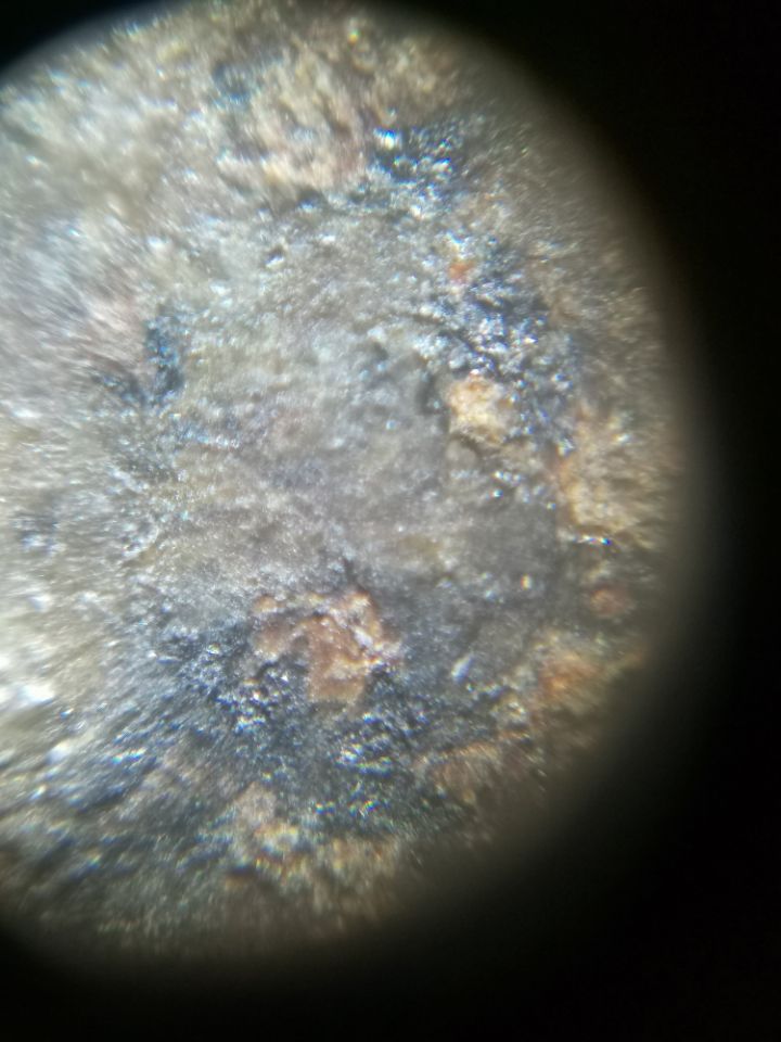-49c52dc05bfaa3c9.jpg