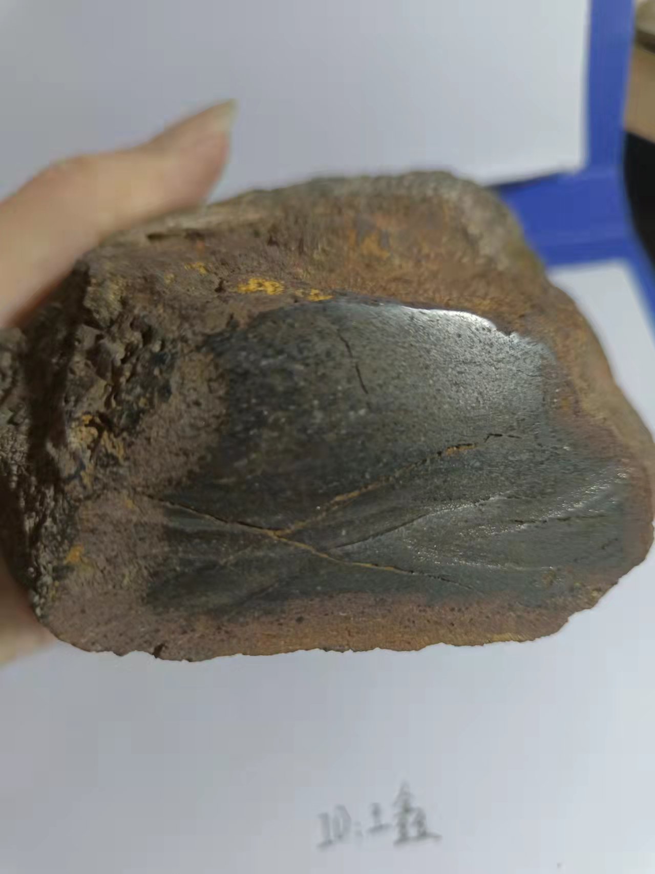 微信图片_2022022715280018.jpg