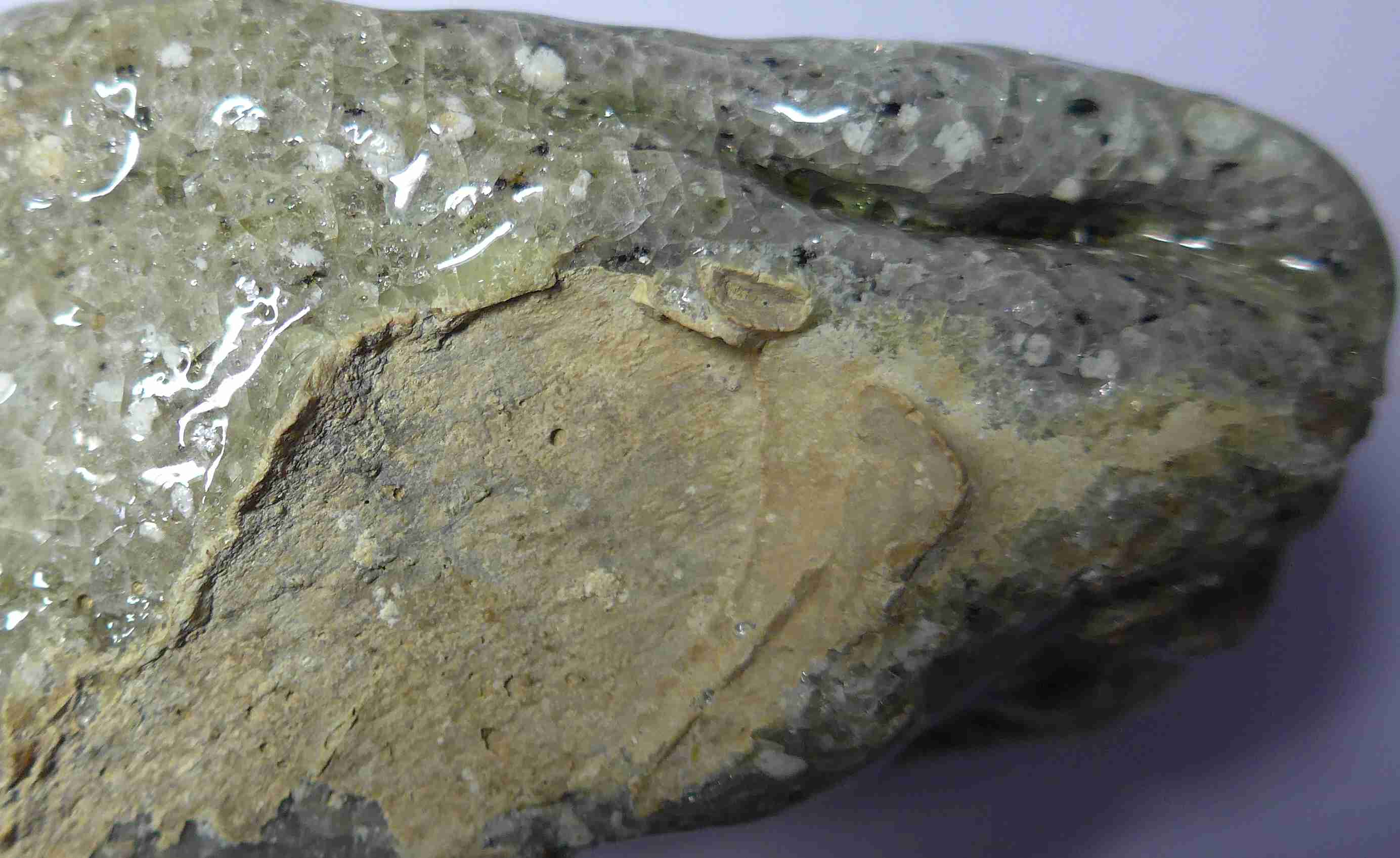P1140031_副本.jpg