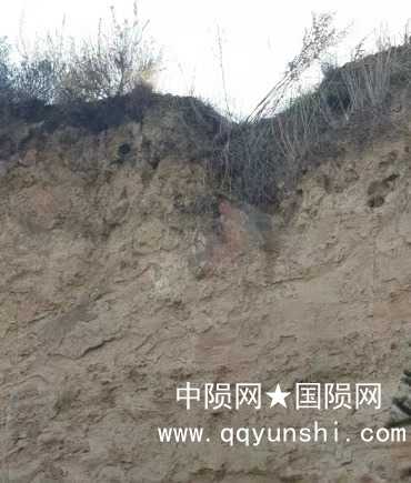 这是发现陨石的地方，陨坑很明显。采挖陨石时陨石下面有一层黑色土层，