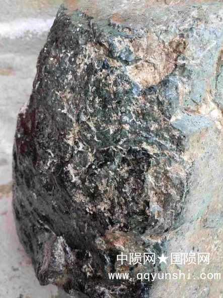这是标签1所示的近照