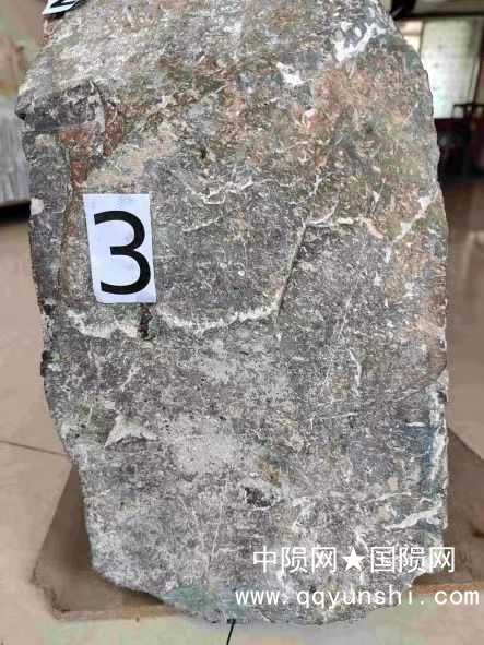 这是标签3所示的近照