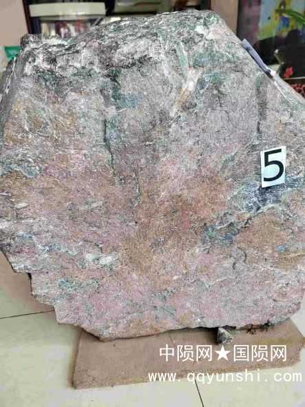 这是标签5所示的近照