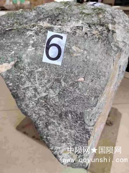 这是标签6所示的近照