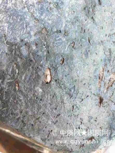 这是标签6表面的近照