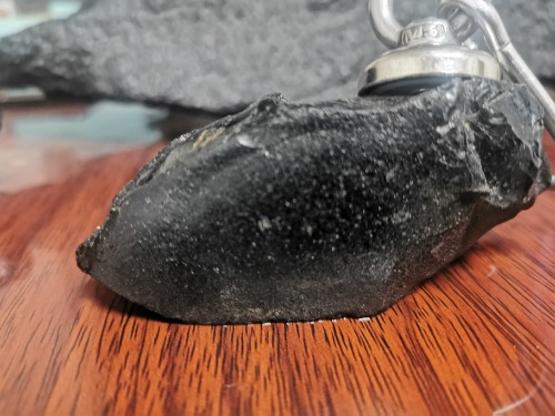 IMG_20220808_201920.jpg