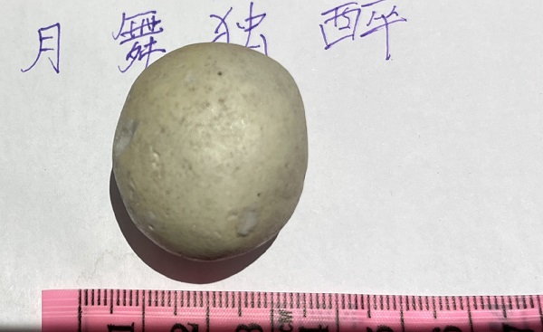 陨3.jpg