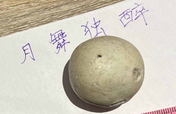 陨4.jpg