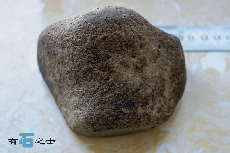 954911_调整大小_调整大小_调整大小.jpg