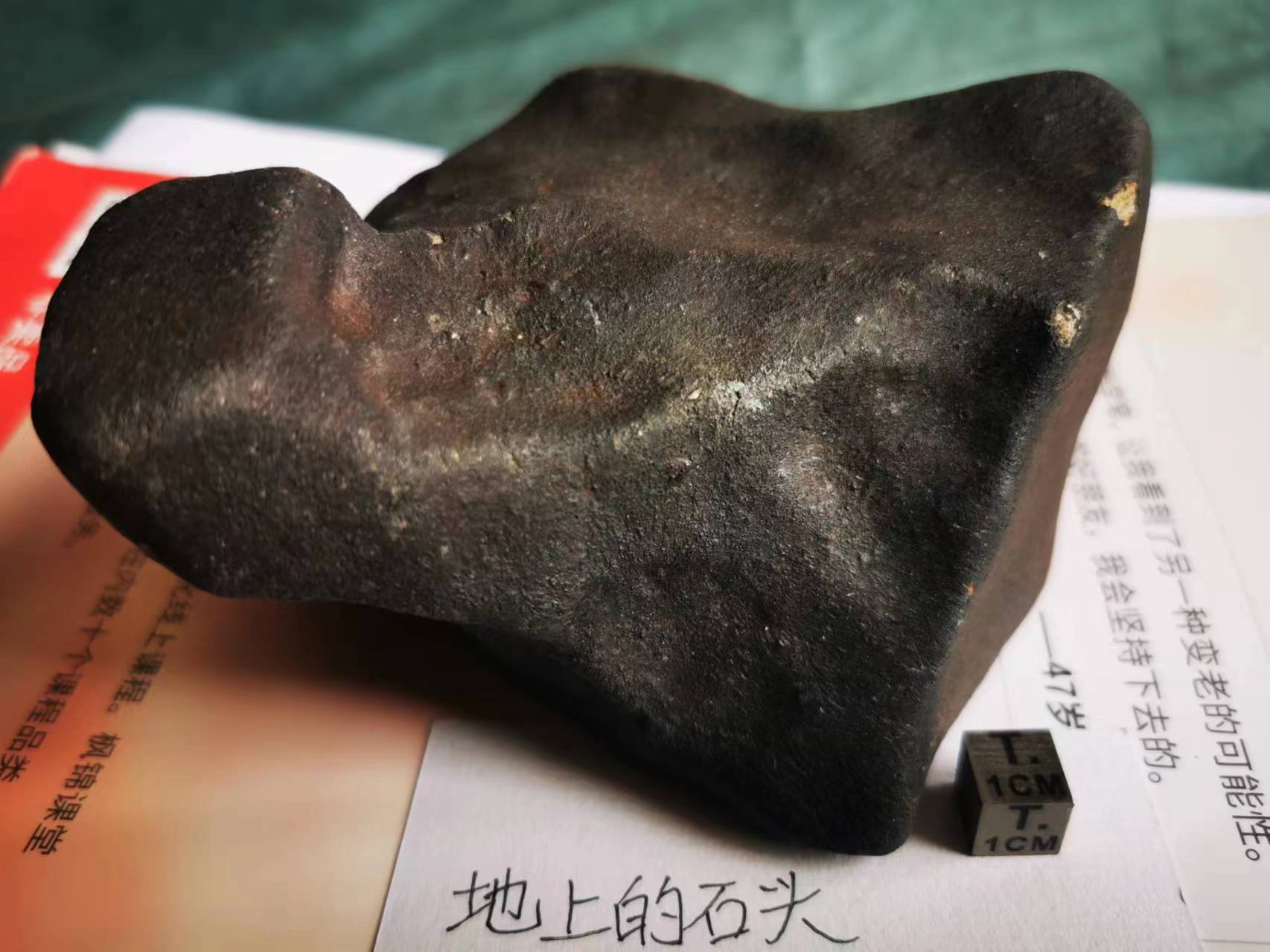 微信图片_20230414172907.jpg