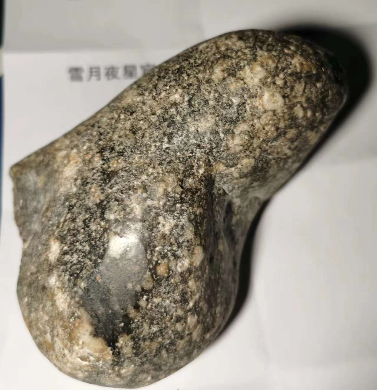 微信图片_20230504235708(1).jpg