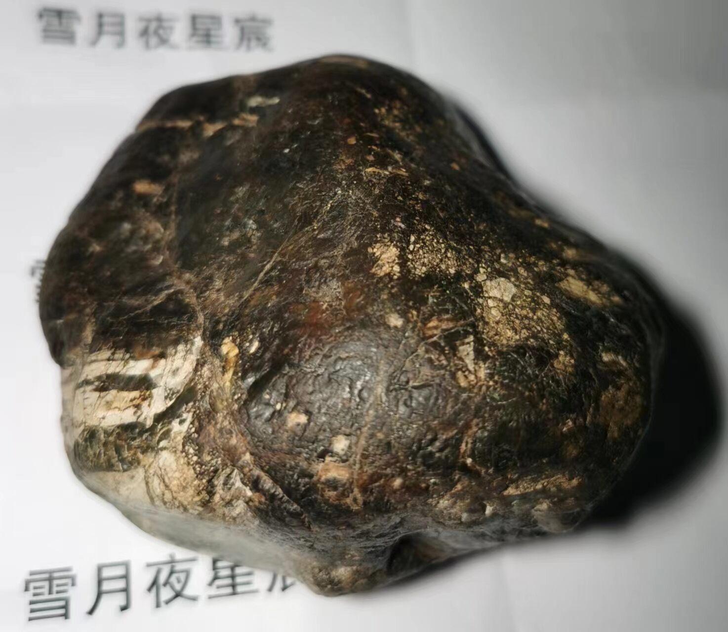 微信图片_20230504235859(1).jpg