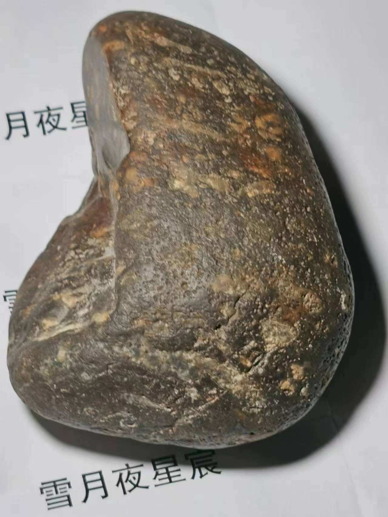 微信图片_20230506003309(1).jpg