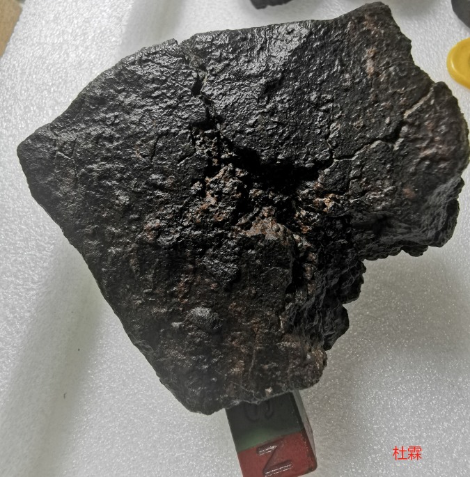 背面