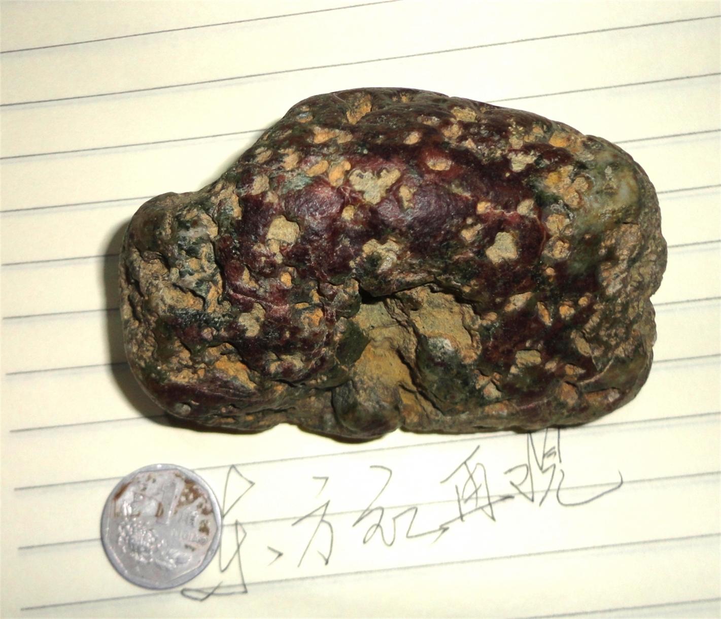 DSC00402.JPG