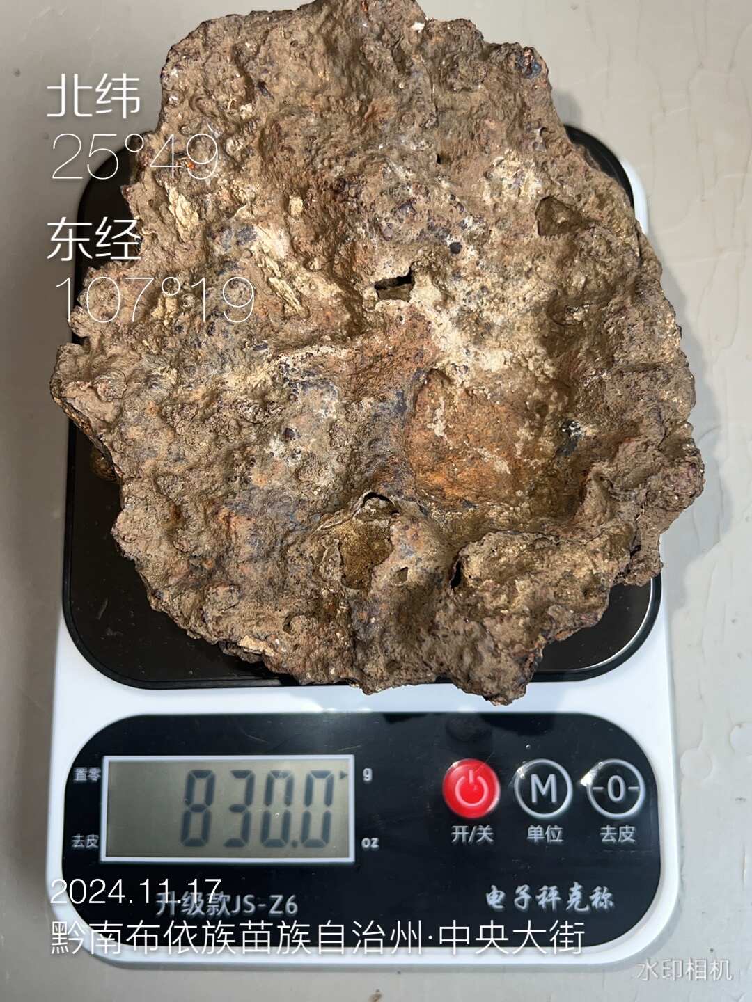 背面