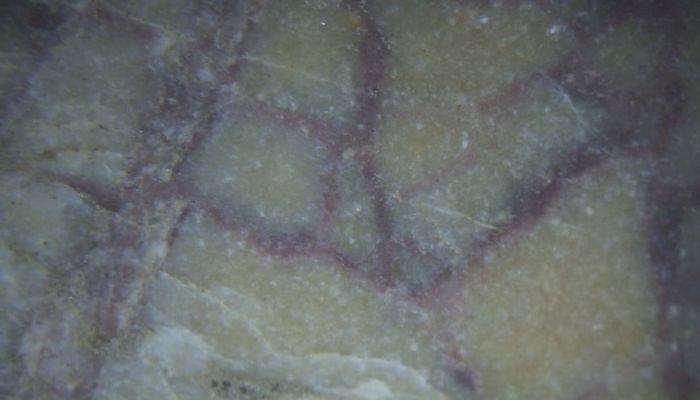 1741601150949.jpg