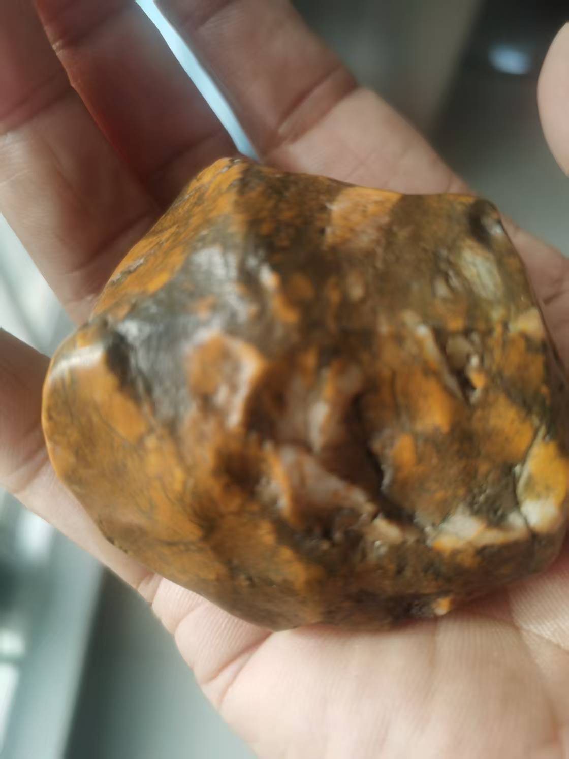 额济纳旗2.jpg