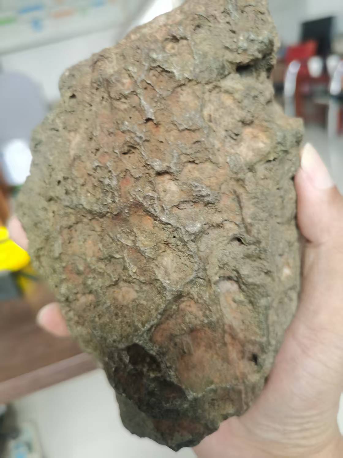 瓜州淘宝4.jpg