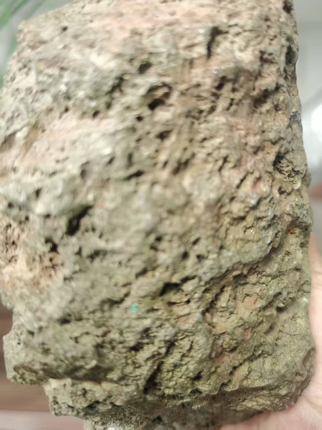 瓜州淘宝3.jpg