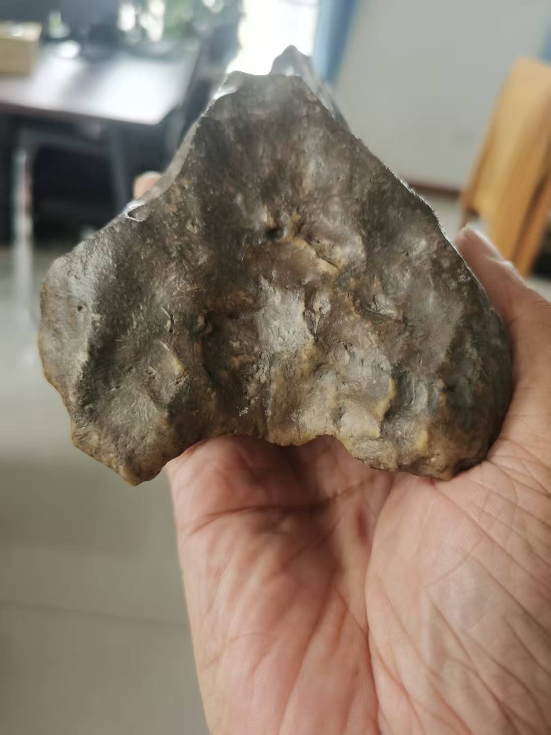 额济纳旗1.jpg