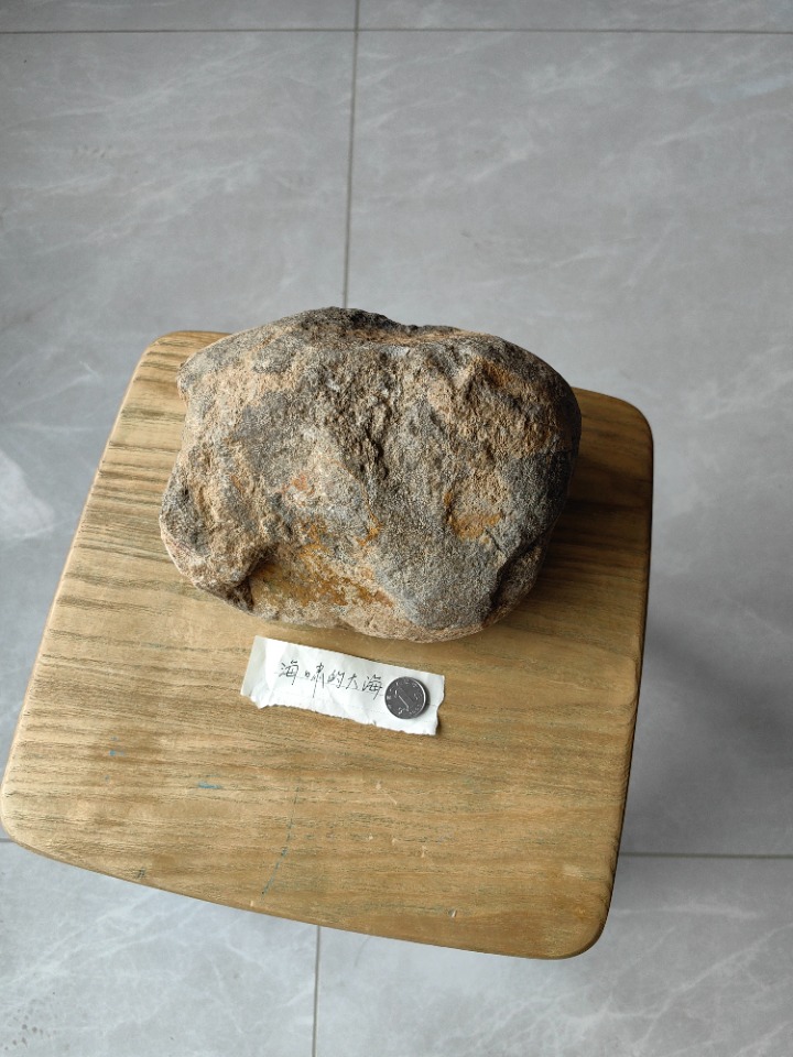 1749622118186.jpg