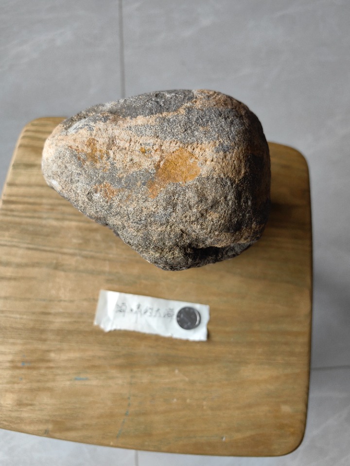 1749622155894.jpg