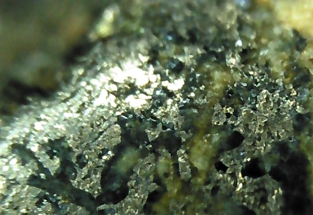 打磨处100倍电子放在镜照片