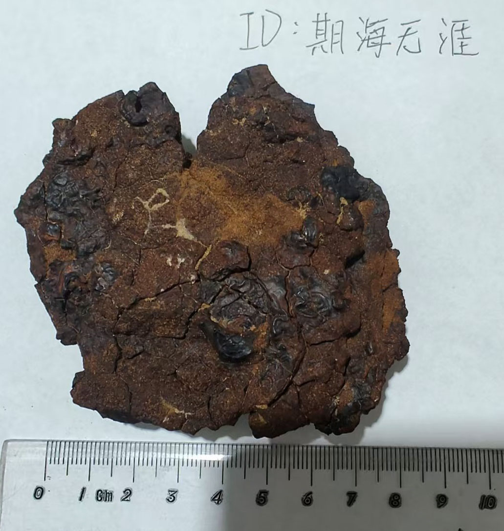 正面