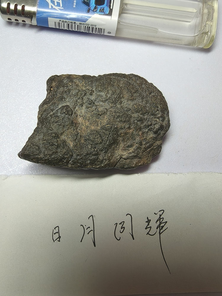 IMG20251013125326.jpg
