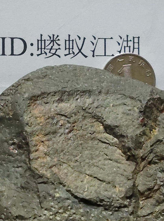 断面整体照片，有几个小圆点